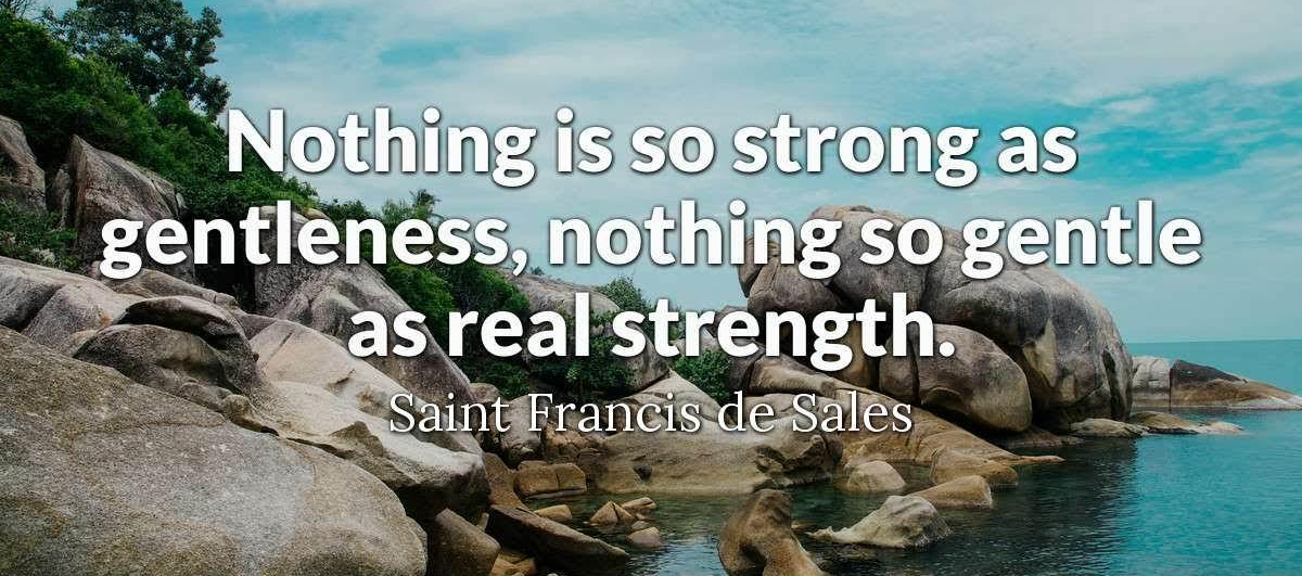 saintfrancisdesales3-2x